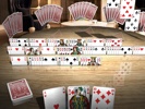 Canasta 3D Premium Screenshot 1