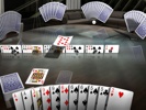 Canasta 3D Premium Screenshot 3