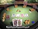 Kartenspiel Klassiker 3D Screenshot 3